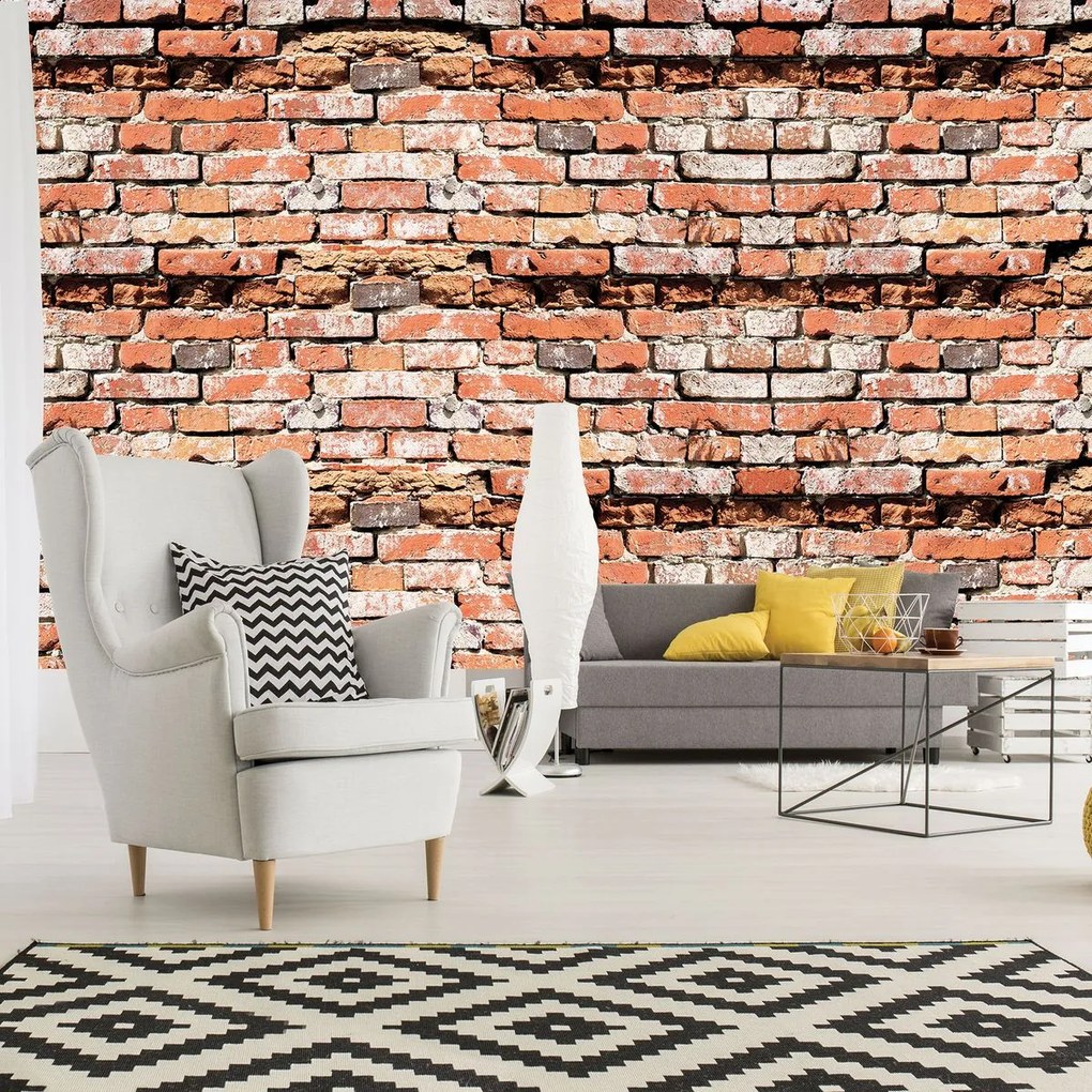Fototapeta - Red Brickwall (254x184 cm)