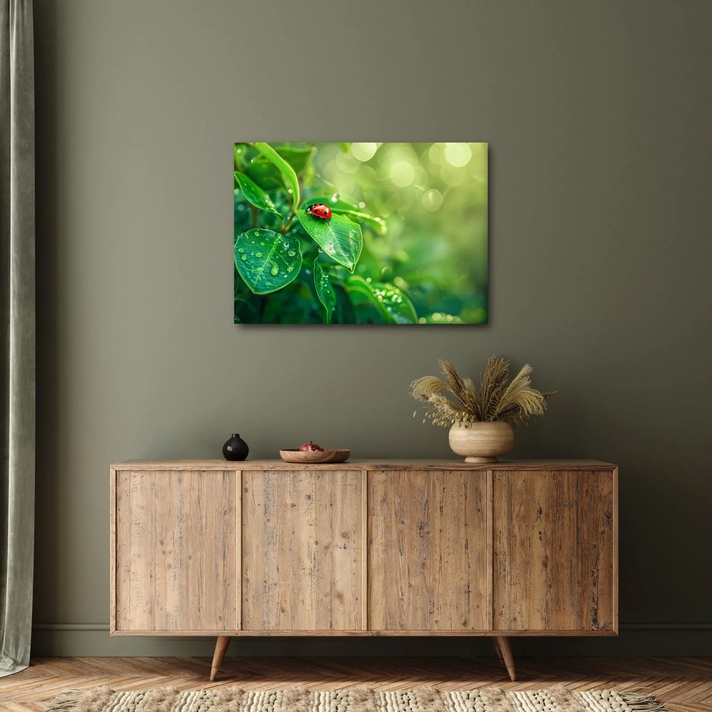 Obraz - Lienka (70x50 cm)