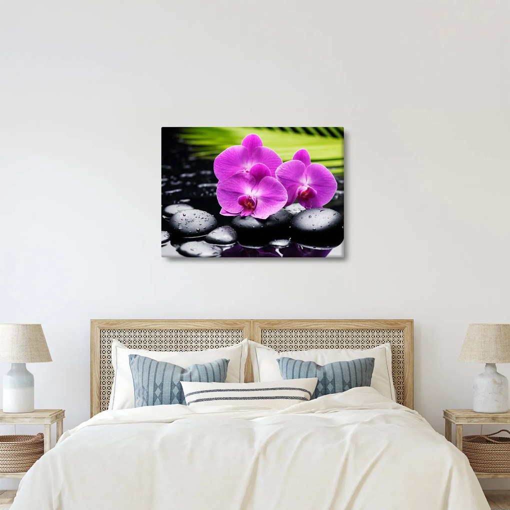 Obraz - Orchidey (70x50 cm)