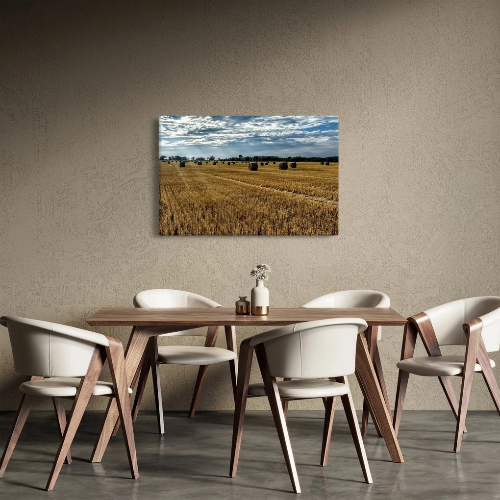 Obraz zozbieraného obilného poľa (90x60 cm)