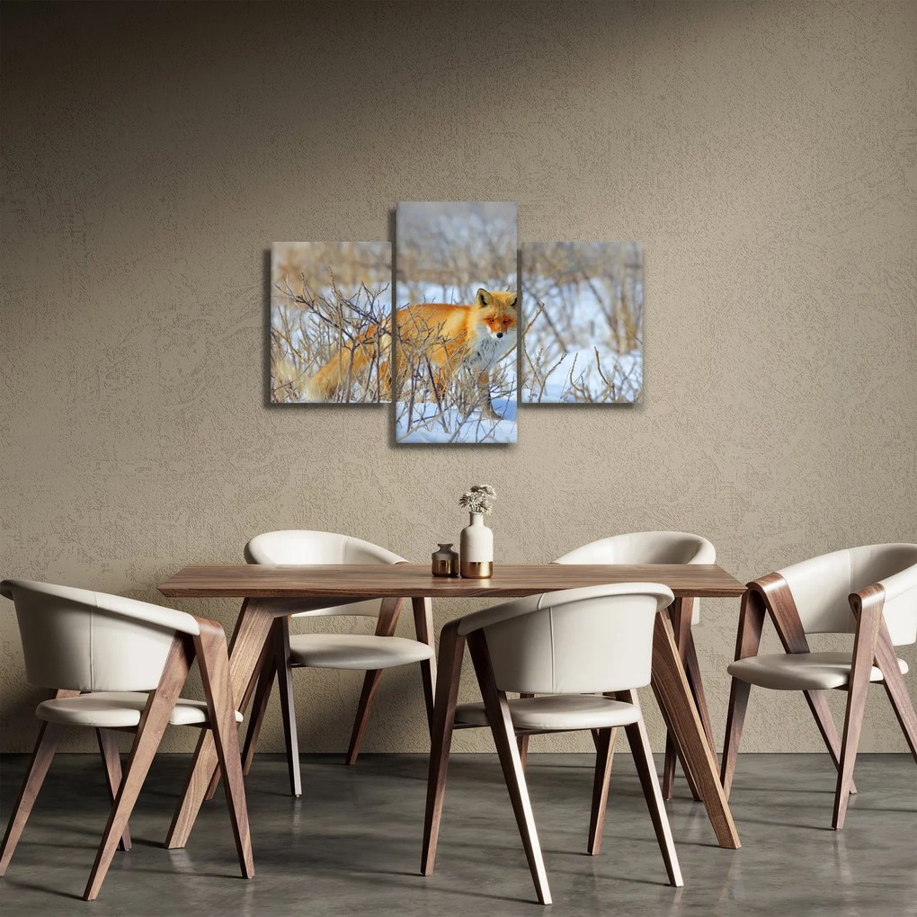 Obraz - Lišiak (90x60 cm)