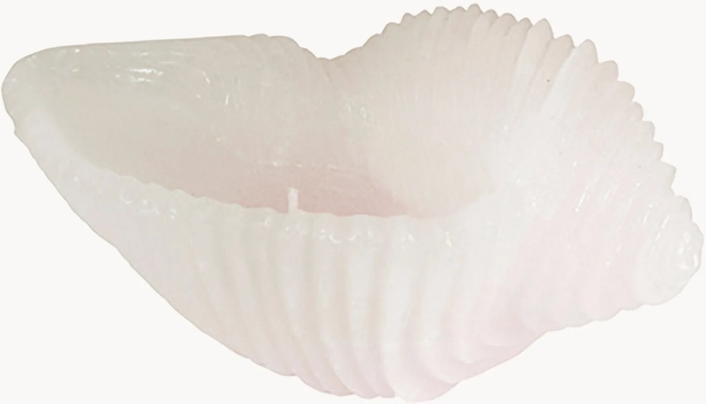 Ručne vyrobená sviečka v tvare mušle Cargol