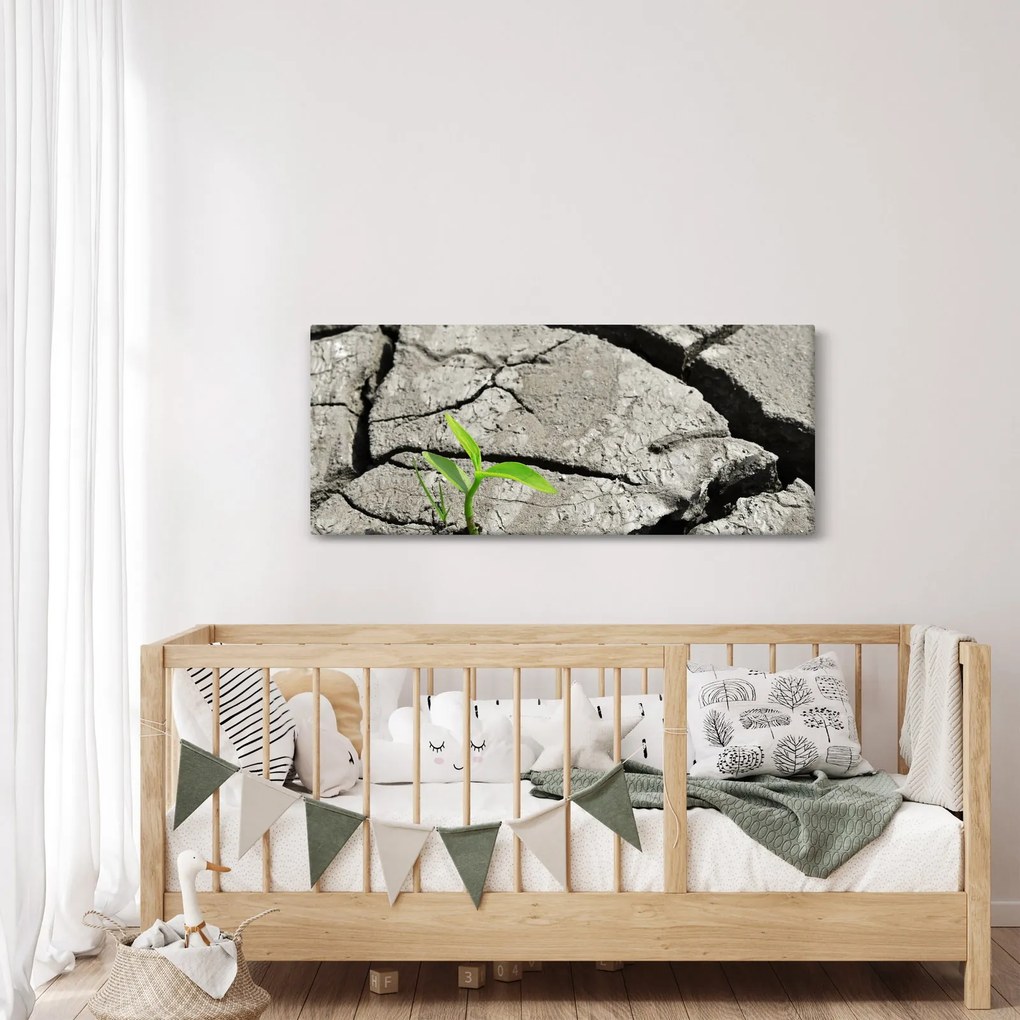 Obraz - Praskliny (120x50 cm)