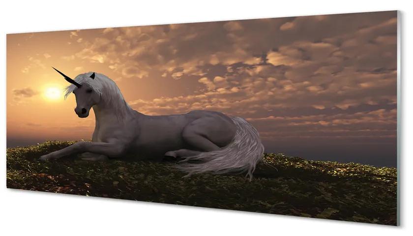 Obraz na akrylátovom skle Unicorn horské slnko 120x60 cm