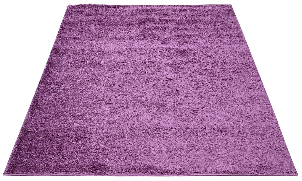 Dizajnový koberec VIOLET - SHAGGY ROZMERY: 240x330