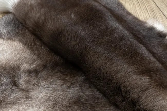 Koberec RENIFER POK014 hnedý / sivý