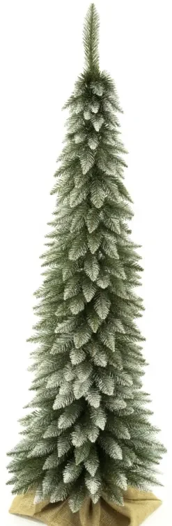 Vianočný stromček Smrek tatranský so zasneženými končekmi "SLIM" 160 cm