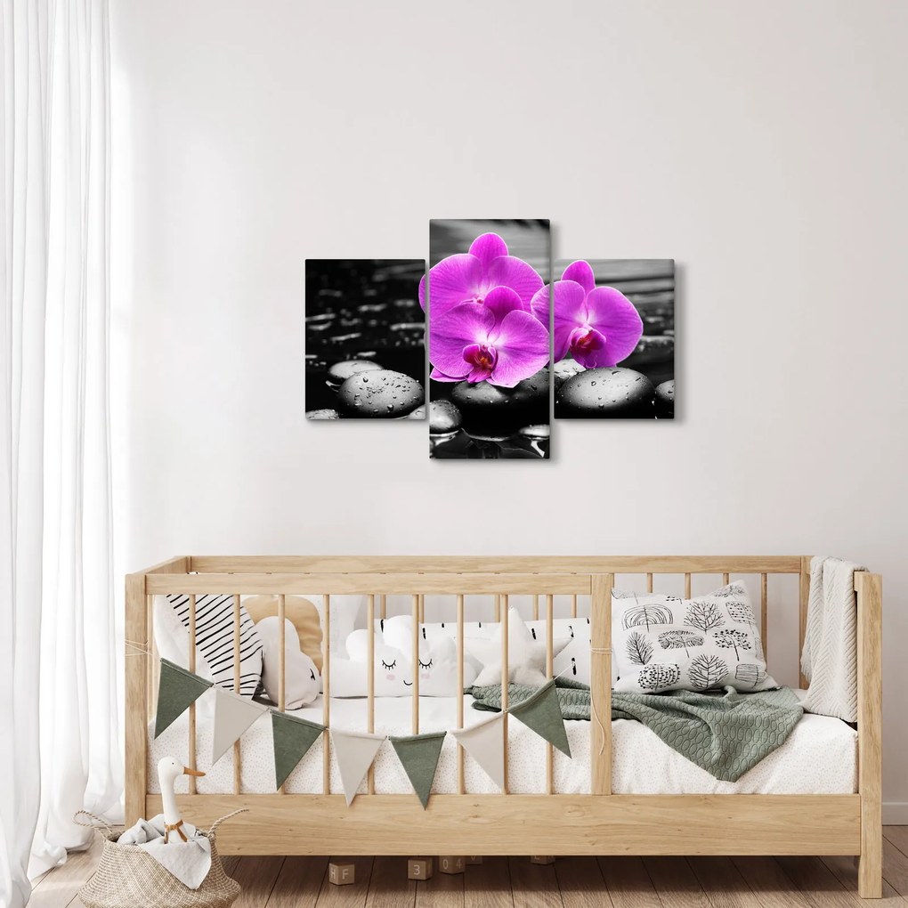 Obraz - Fialové orchidey (90x60 cm)