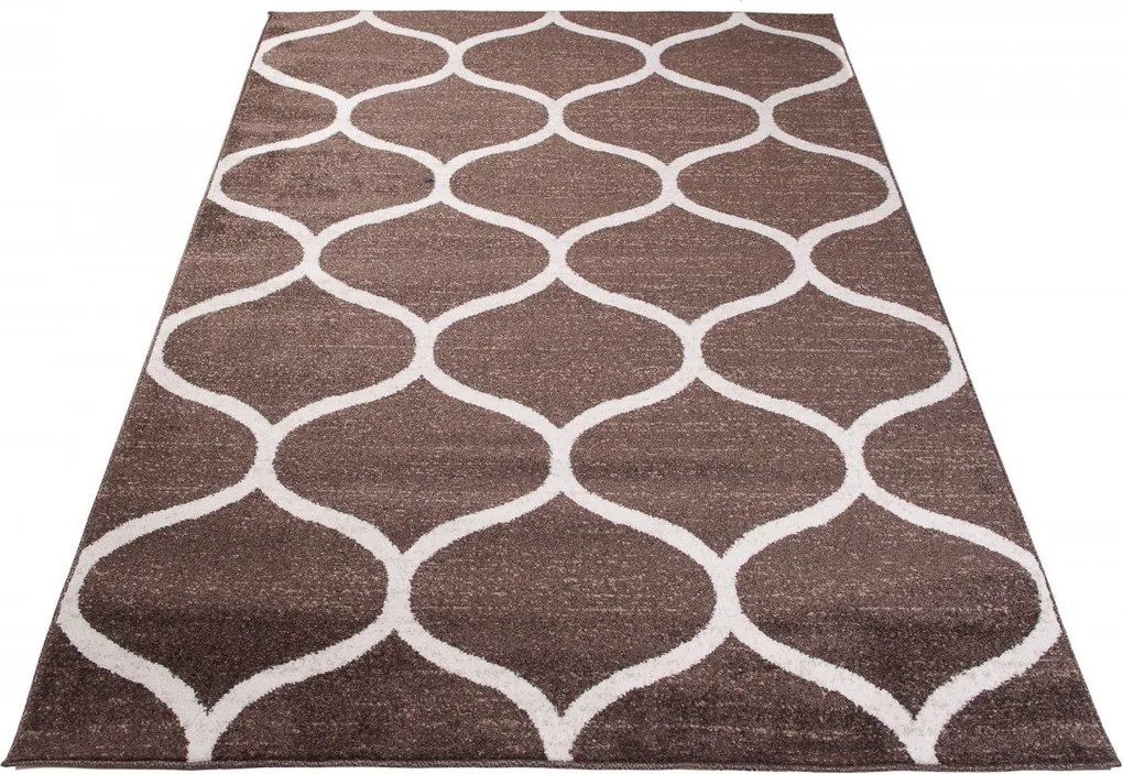 TA Koberec E665A HNEDÉ SÁRÍ Rozmer: 300x400 cm