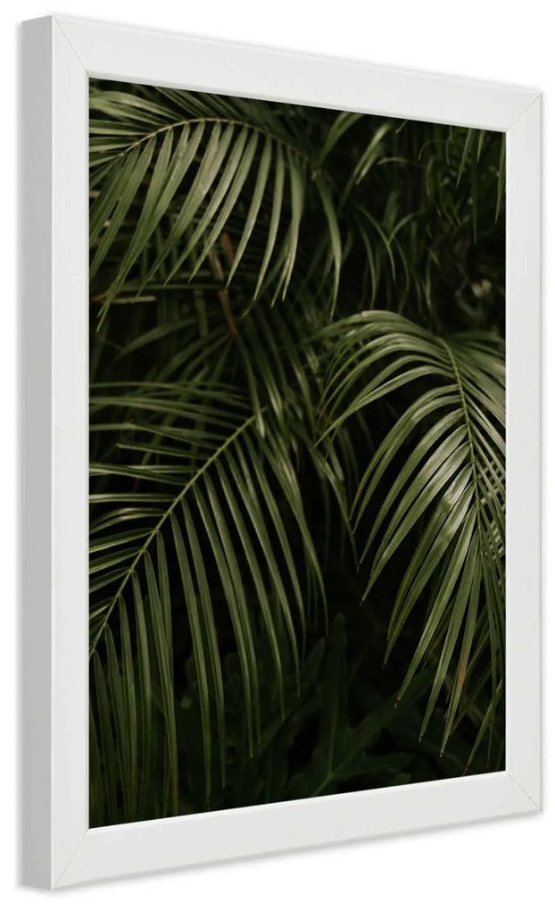 Gario Plagát Exotické palmové listy Farba rámu: Bez rámu, Rozmery: 40 x 60 cm