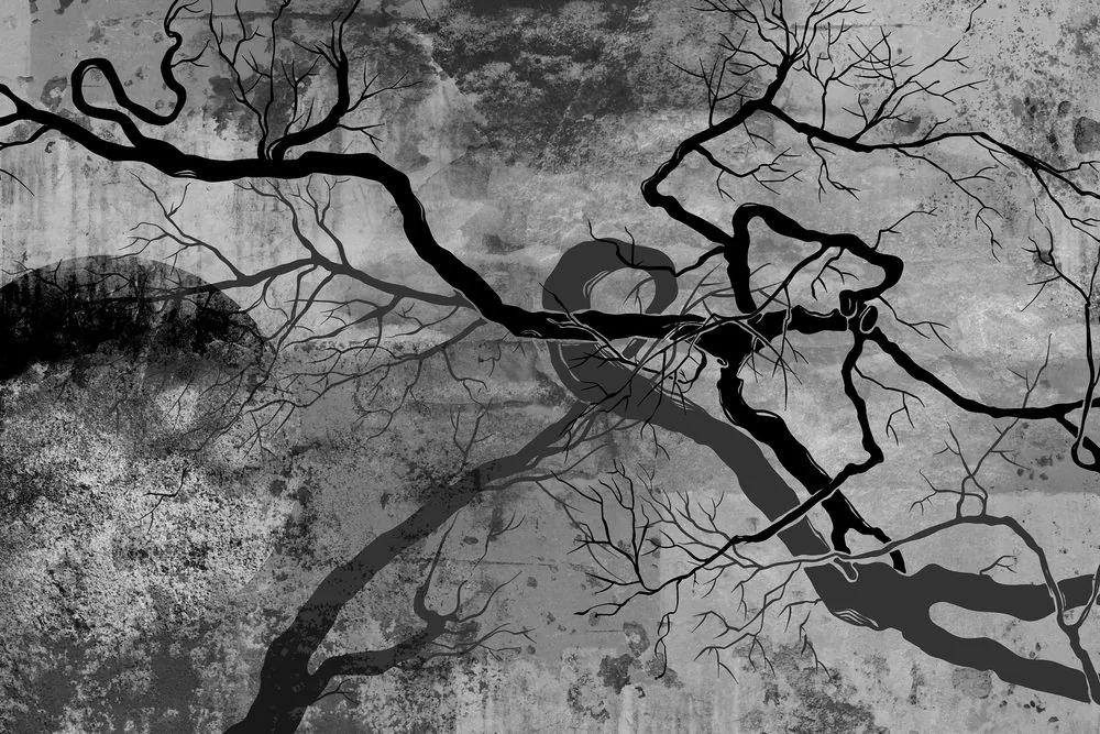 Obraz surrealistické stromy v čiernobielom prevedení Varianta: 120x80