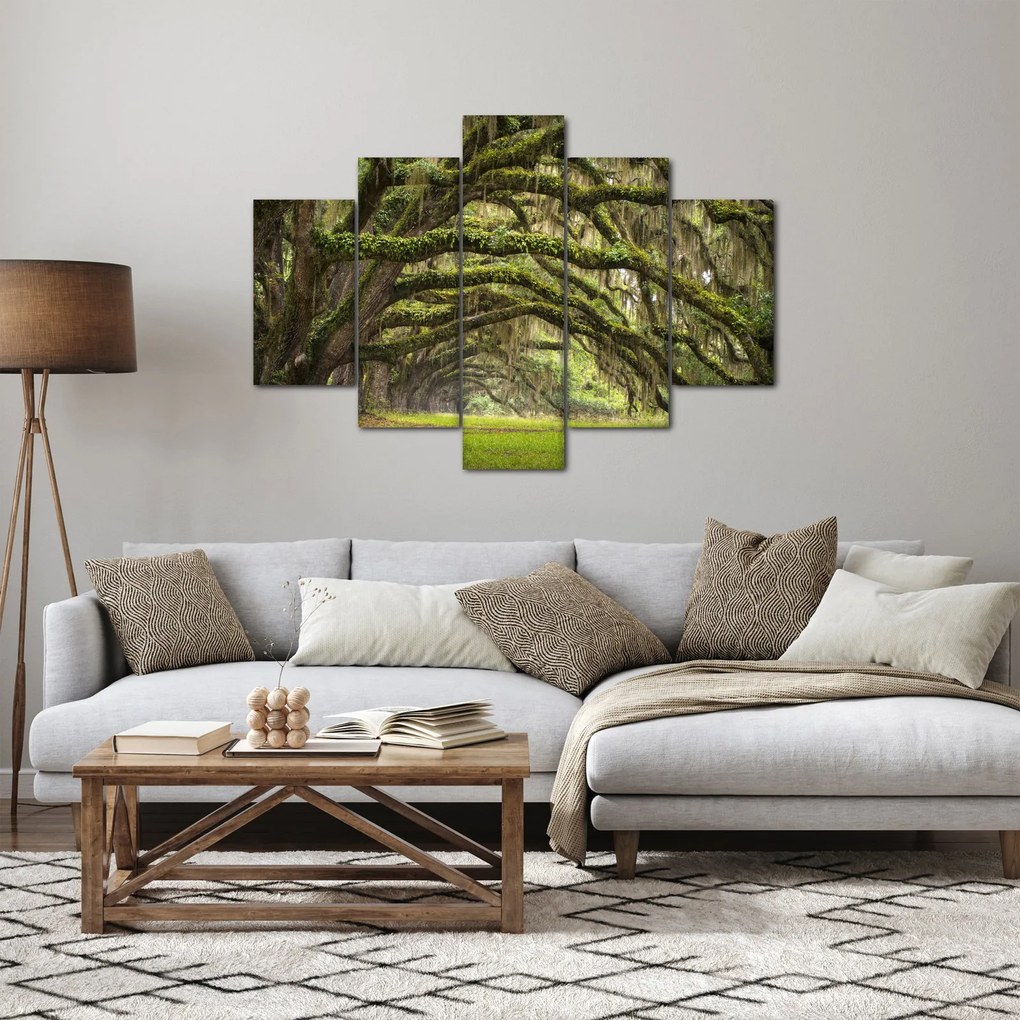 Obraz - Oaks Avenue, Charleston, Južná Karolína, USA (150x105 cm)