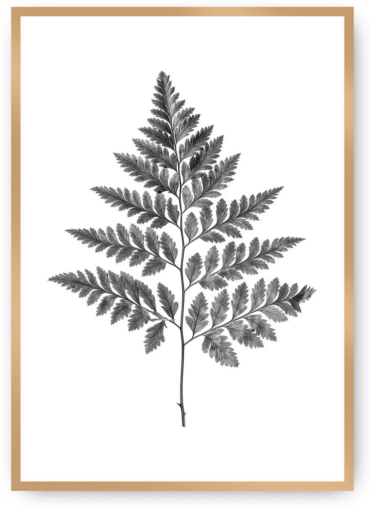 Plagát Fern Grey