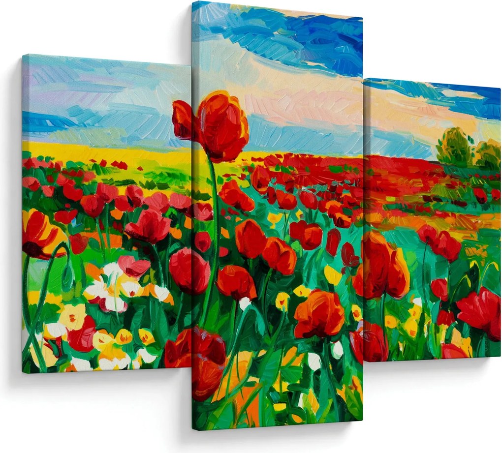 Obraz poľa s vlčími makmi (90x60 cm)