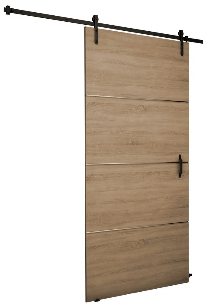 Posuvné dvere Roko Plus 100, Farba:: jaseň tmavý