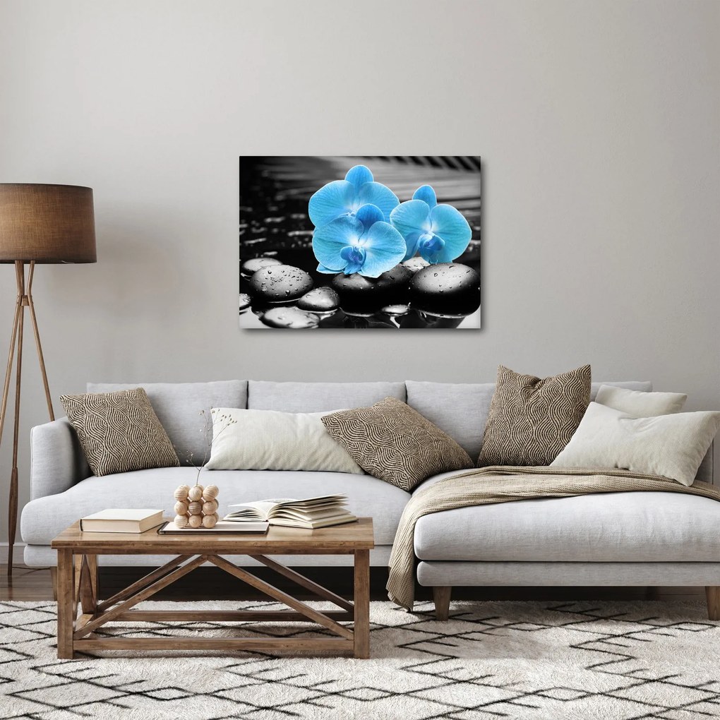 Obraz - Modrá orchidea (70x50 cm)