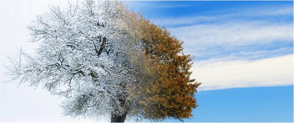 Obraz - Zmena ročného obdobia (120x50 cm)
