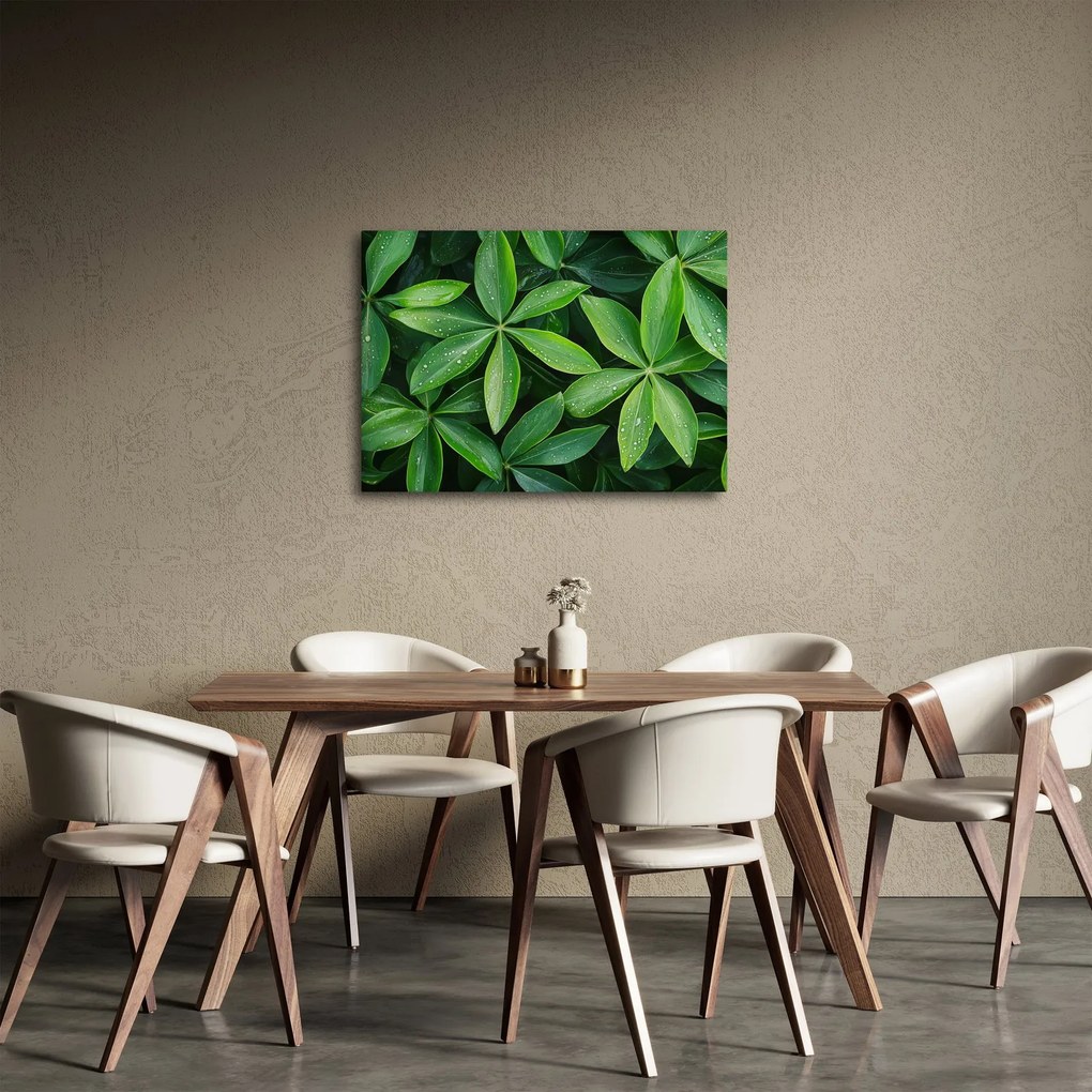 Obraz - Listy s kvapkami rosy (70x50 cm)
