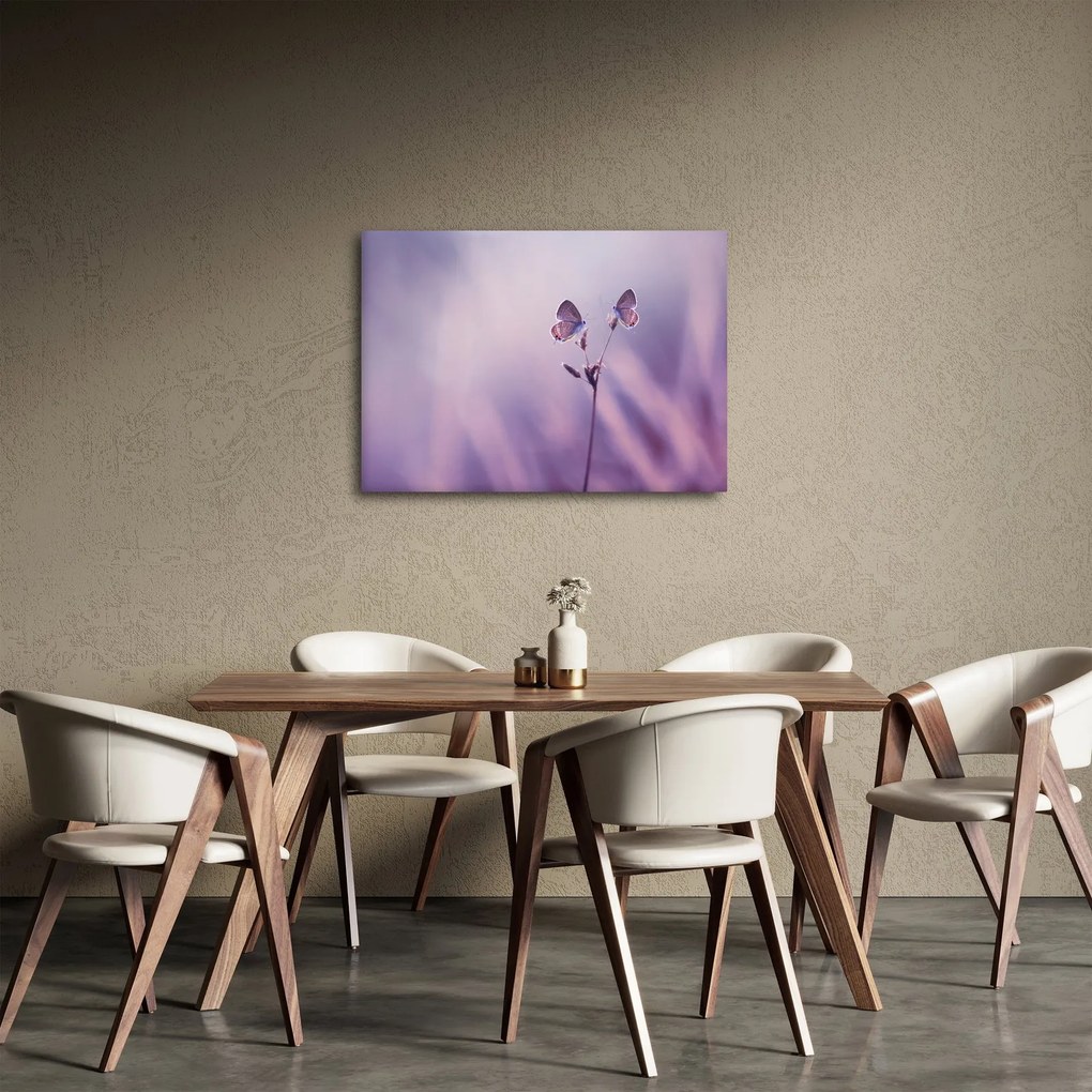 Obraz - Fialové motýliky (70x50 cm)