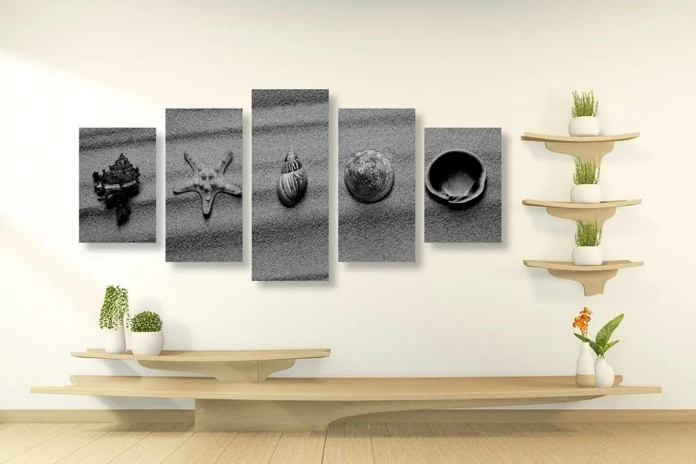 5-dielny obraz mušle na piesočnatej pláži v čiernobielom prevedení - 200x100
