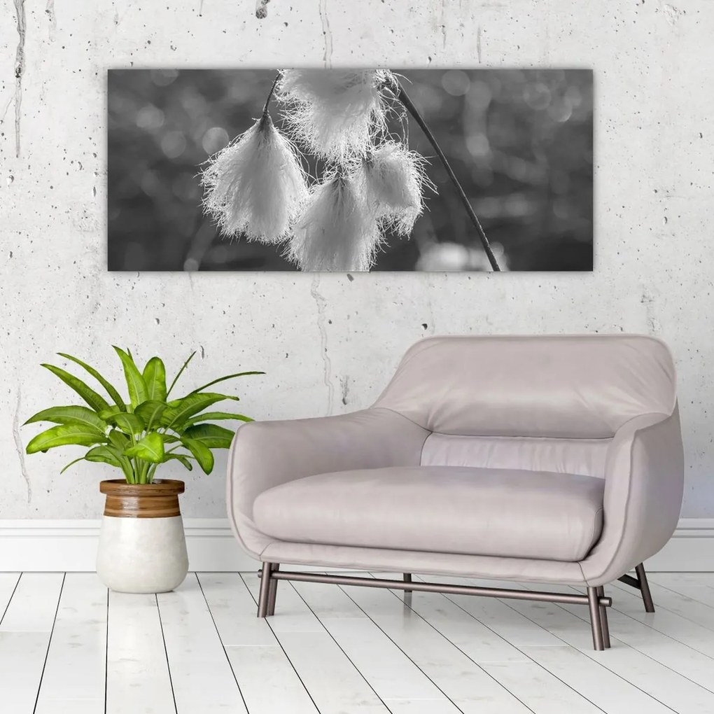 Obraz - Cottongrass (120x50 cm)