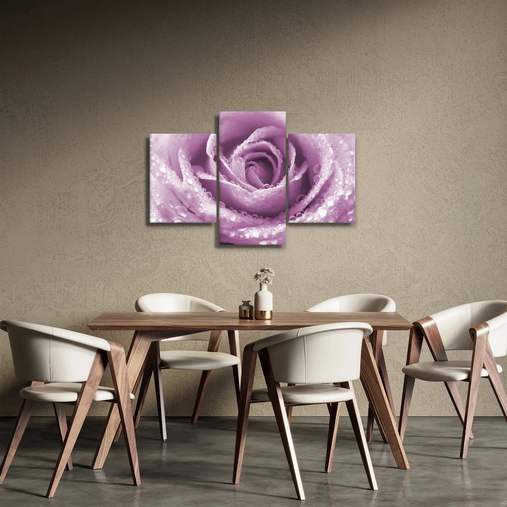 Obraz detailu kvetu ruže (90x60 cm)