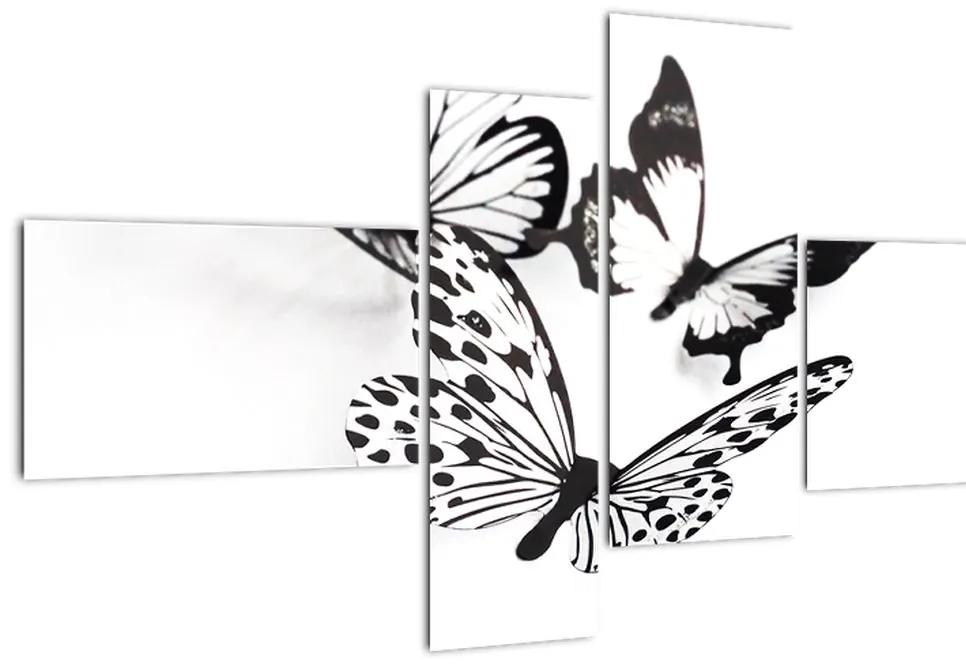 Obraz motýľov