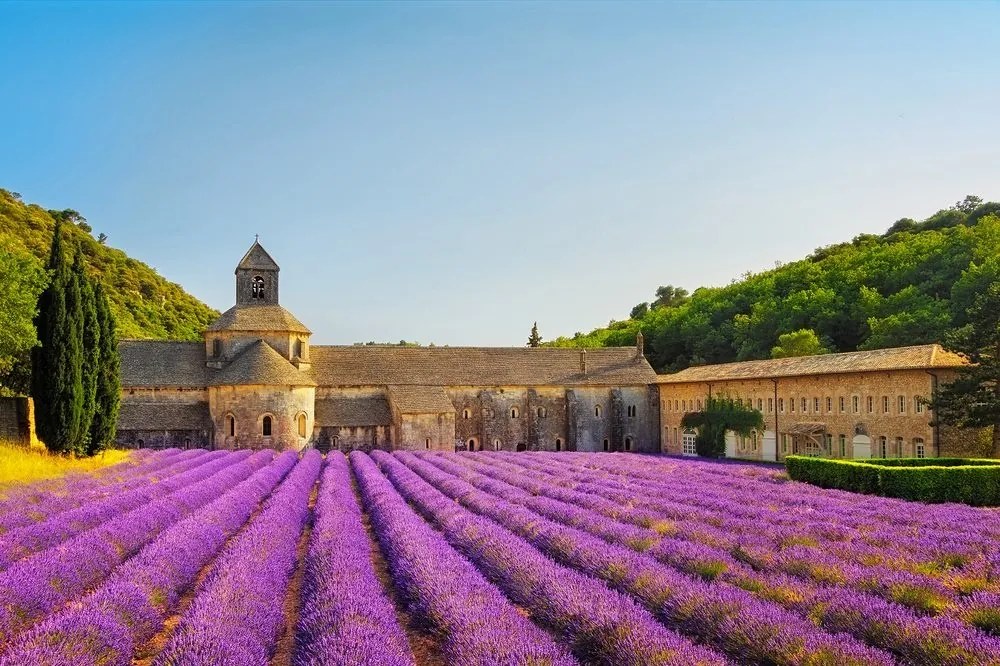 Samolepiaca fototapeta Provensálsko s levanduľovými poľami - 450x300