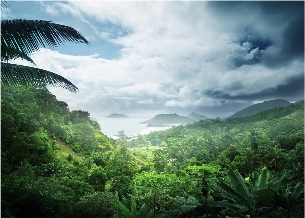 Obraz - Seychelská jungle (70x50 cm)
