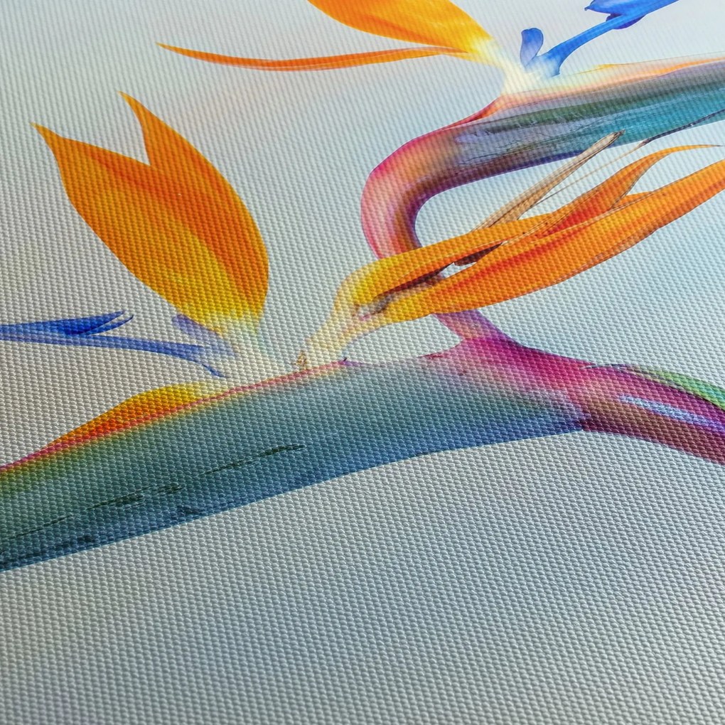 Obraz kvetu Strelícia (90x60 cm)