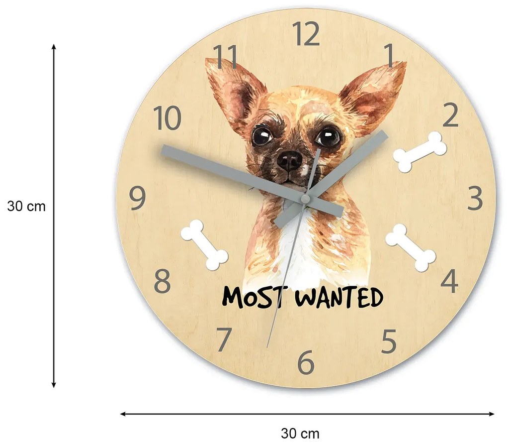Detské nástenné hodiny Ami Čivava 30 cm viacfarebné