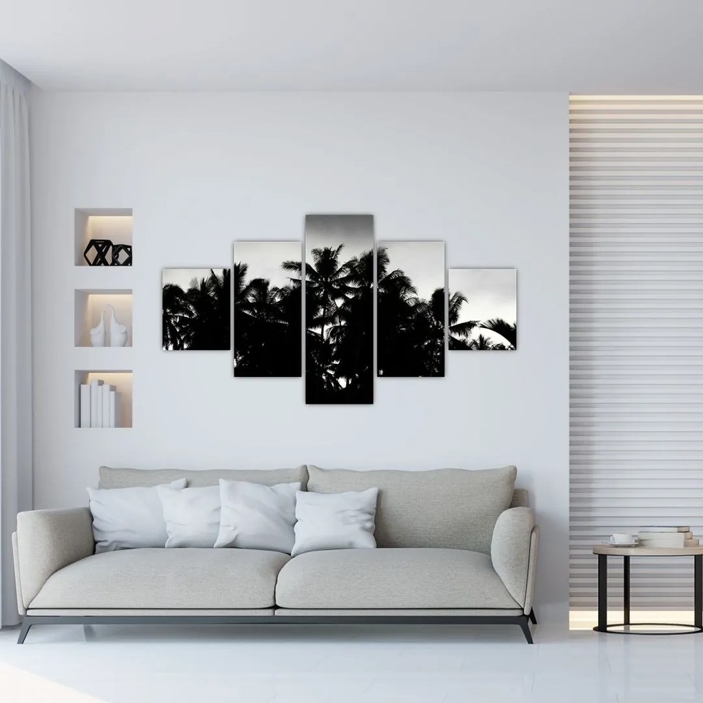 Obraz čiernobiely - palmy (125x70 cm), 40 ďalších rozmerov