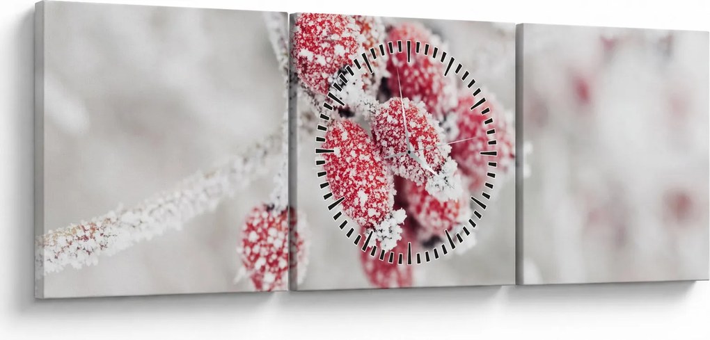 Obraz - Zamrznuté plody (s hodinami) (90x30 cm)