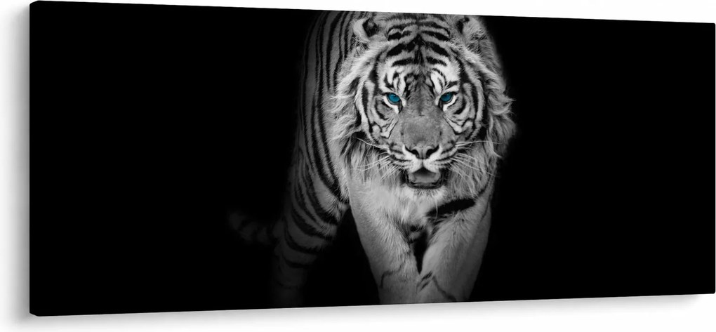 Obraz - Tiger s modrými očami (120x50 cm)