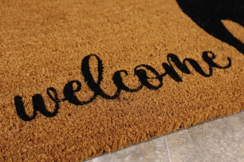 Trade Concept, Rohožka Kokos Welcome Pes - na von aj na doma, 40x60, hnedá, chodba / predsieň