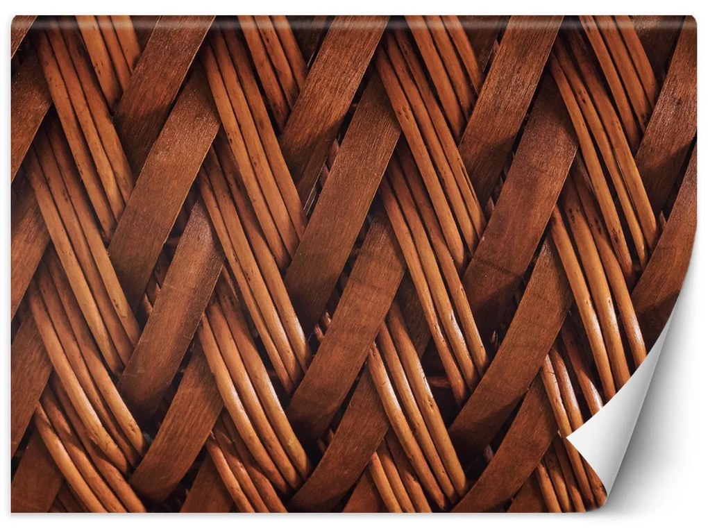 Gario Fototapeta Prútený výplet Materiál: Vliesová, Rozmery: 450 x 315 cm