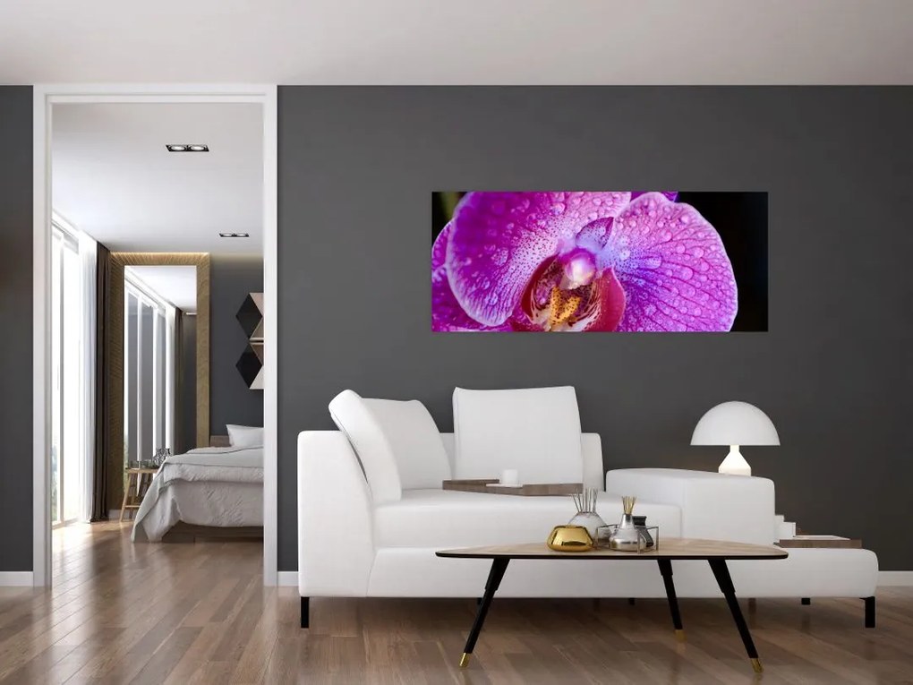 Detailný obraz kvetu orchidey (120x50 cm)