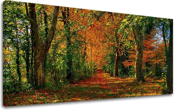 Obraz na stenu PANORÁMA STROMY 30x60 cm