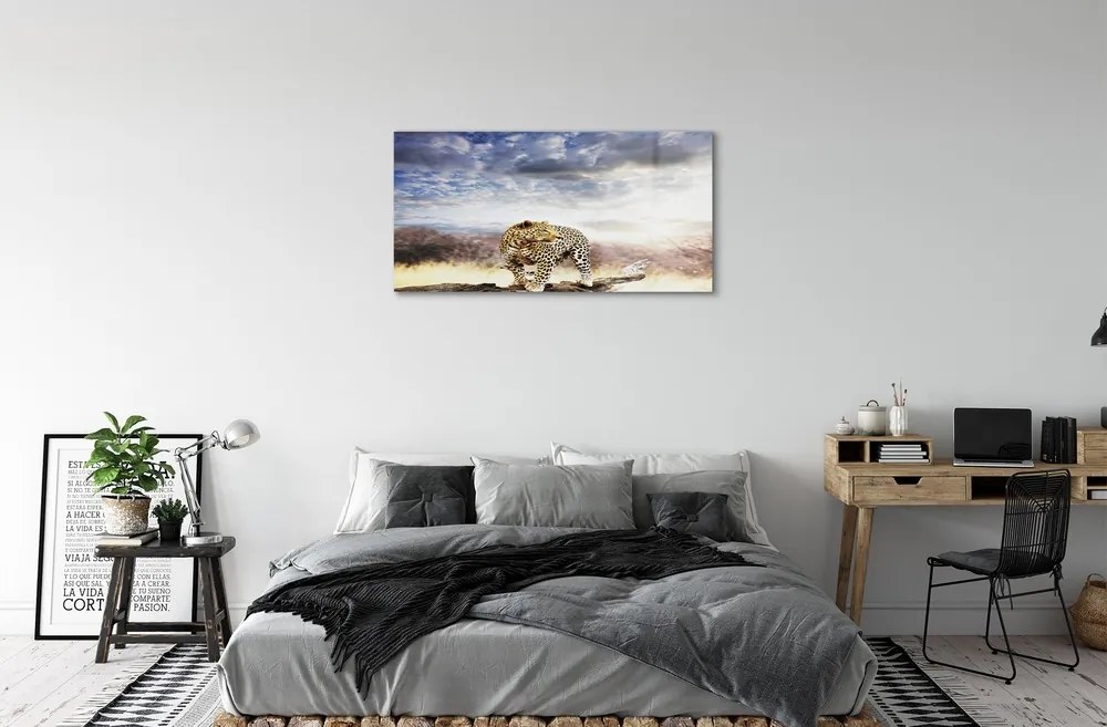 Obraz na skle panter mraky 100x50 cm