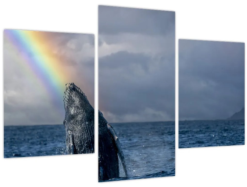 Obraz - Keporkak (90x60 cm)