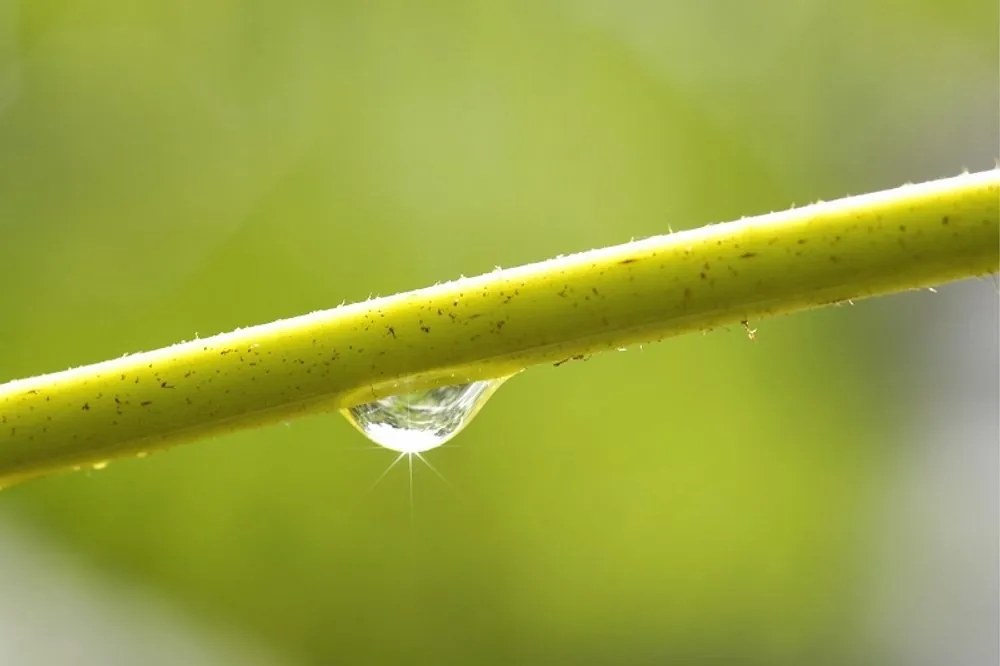 2G Lipov Chránič matraca (podložka) Aloe Vera - 100x200 cm | akce 1+1 (2ks)