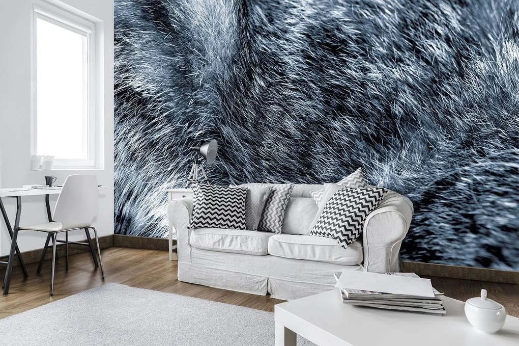 Fototapeta - Modrá srsť (152,5x104 cm)