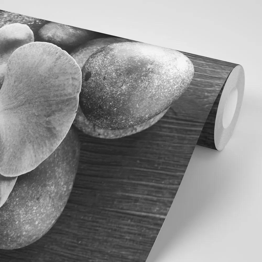 Samolepiaca fototapeta čiernobiela orchidea a kamene - 375x250