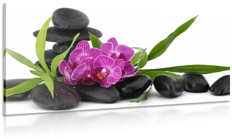 Obraz fialová orchidea v Zen zátiší Varianta: 120x60