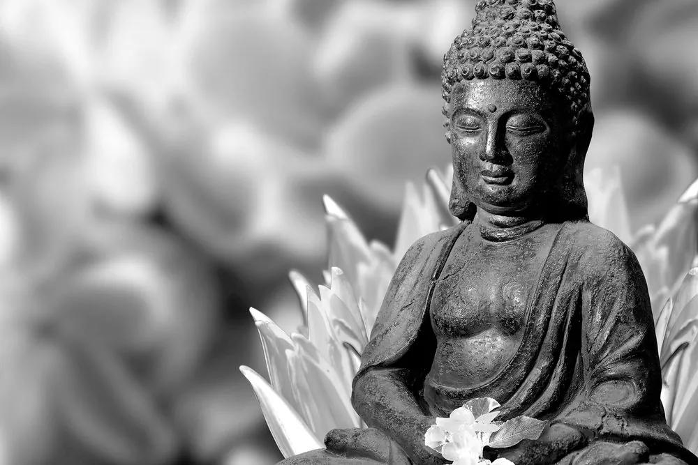 Obraz čiernobiely Budha meditujúci v kvetinovej záhrade