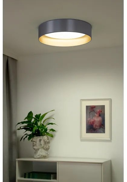 Duolla - LED Stropné svietidlo ROLLER LED/24W/230V pr. 45 cm strieborná/zlatá