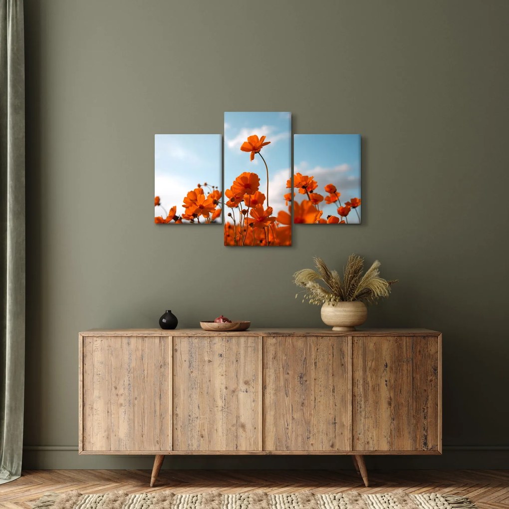 Obraz - Lúčne kvety (90x60 cm)