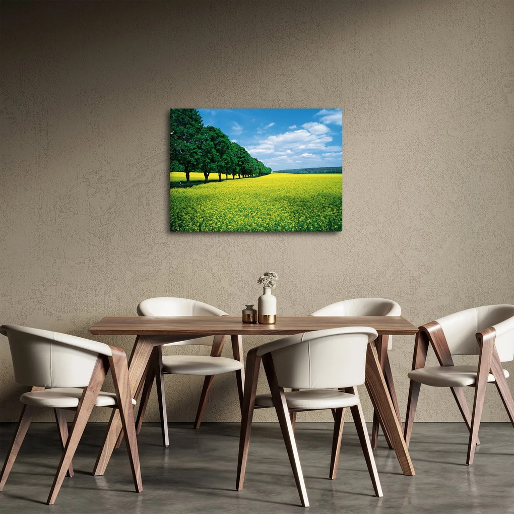 Obraz poľa s alejou (70x50 cm)