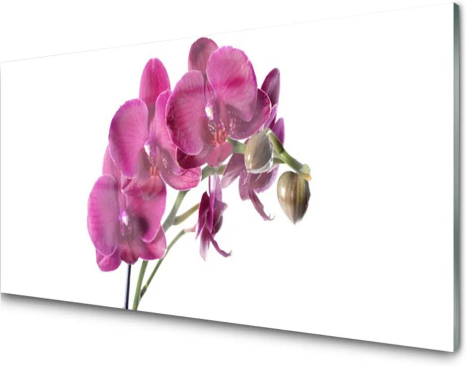 Skleněný obraz Orchidej květiny příroda