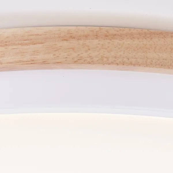 Brilliant - LED St. stropné svietidlo BAARLO LED/24W/230V pr. 35 cm biela